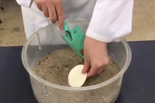生分解（せいぶんかい）プラスチックを作ろう 提供：駒沢学園女子中学校 | 自由研究フェスタ