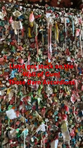 “He Went for Beer… and Got Stuck on the Wall of Gum 😂” from "Clownhead" by Those Darn Accordions