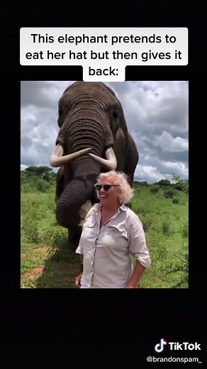 🥰 (the last video was a test) | yo bro who got you smiling like that