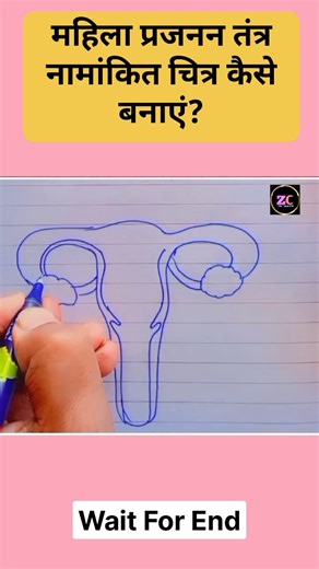 Shadab Ahmad (SIR) on Instagram: "Class 10th science Female reproductive system महिला प्रजनन तंत्र आसान तरीके से कैसे बनाए? #femalereproductivesystem #science #diagram #trending #upboard"