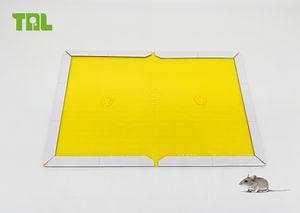 [Hot Item] Cheap Mouse Catcher Pad Paper Rat Sticky Trap Book Glue Board Mice Sticker