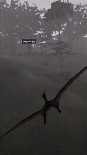 Soaring Through The Isle: Pterodactyl Gameplay #shorts