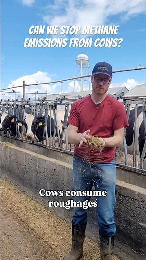 Can We STOP Methane Emissions from COWS? 🐮