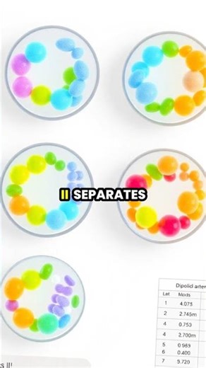 Understanding Meiosis: The Journey of Genetic Diversity 🌱