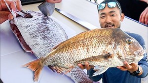 Master Class in Filleting Fish (Japanese Technique) 🇯🇵 #recipe #japan #fishing | Outdoor Chef Life
