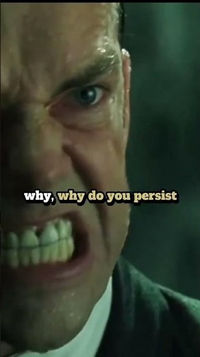 Why, Mr Anderson? Why do you Persist? - Movie The Matrix