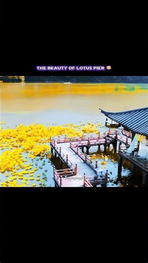 The beauty of Lotus pier #xiaozhan #lanzhan #cql #theuntamed #weiwuxian#shiying #cdrama #shorts
