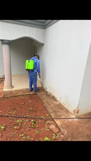 Effective Termite Control: Drilling and Chemical Injection