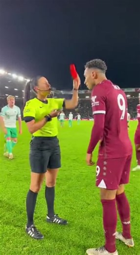 Peaceful Problem Solving in Cat Life