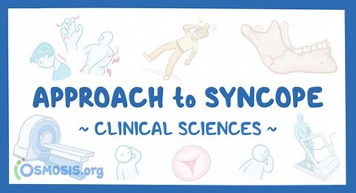 Approach to syncope: Video & Meaning | Osmosis