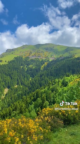 #karadeniz #giresun #keşfetteyizzz #karadenizliyiz #karadenizli #ordu52