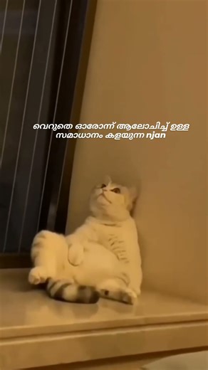 Shooo 🥲😹#shortsfeed #malayalammemes #relatable