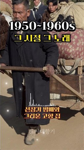 LP 판으로 듣는 5060 한국 고전가요 명곡선 🍂 아날로그 감성 옛노래 연속듣기
