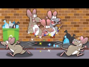 What if Rats Disappeared? Old version from AumSum