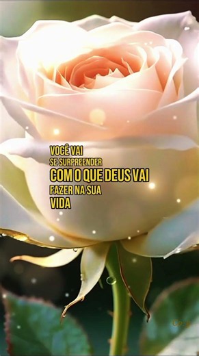 Boa noite, curta e se escreva 🙏