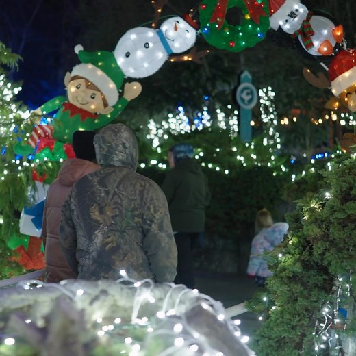 Join us for Home for The Holidays - Holiday Lights Extravaganza | Mystic Aquarium