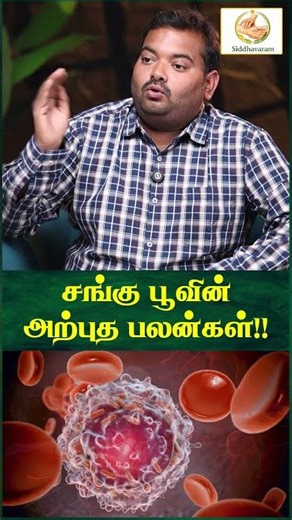 Secret benefits of Sangu Poo | Best Detox for men and women | Butterfly pea flower