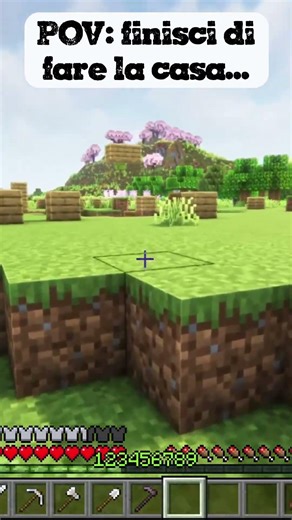 POV: finisci di fare la casa... #minecraft #minecraft #meme #funny #games