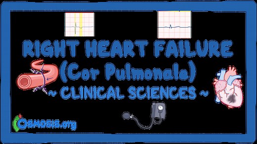 Right heart failure (cor pulmonale): Video & Meaning | Osmosis
