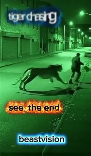 CCTv footage, #lion attack on men, viral cCTv chocking video, sher ka admi py khaternak hamla