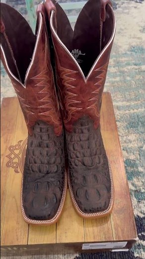 Alfa Western Wear Caiman Alligator boots and belt quick in hand view.