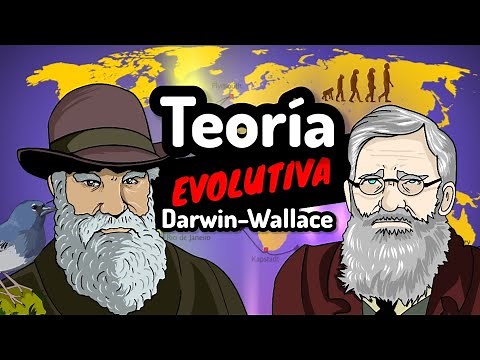 THEORY OF EVOLUTION Darwin and Wallace⚡Natural selection [quick and easy in 5 minutes]