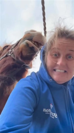 Strahlfoili Huf- und Strahlpflege für Pferde on Instagram: "Eine der häufigsten “Verletzungen” des Huf (bzw. der Hufkapsel) sind Nagellöcher. Nicht nur bei der Umstellung auf Barhuf sind Nagellöcher eine Schwachstelle, auch für regelmäßig beschlagene Pferde bilden die Löcher ein Eingangstor für Feuchtigkeit und Bakterien. Dringen Feuchtigkeit, Bakterien und Pilze erstmal ein, ist Fäulnis oft vorprogrammiert. Während ein Kupfernagel schon antibakterielle Eigenschaften mit sich bringt, solltest du