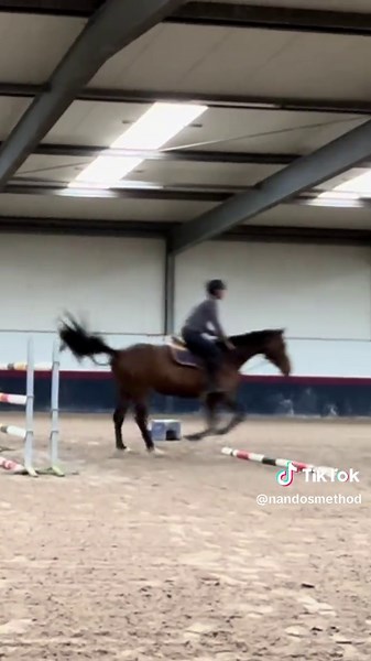 Gymnastic Exercises for Equestrian Balance and Control