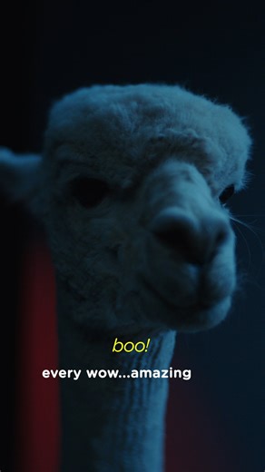 No tricks, just treats and cosy beds. Happy Halloween from Snooze! 🎃🛌 | Snooze