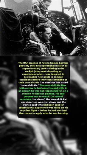 The Man in the Jump Seat