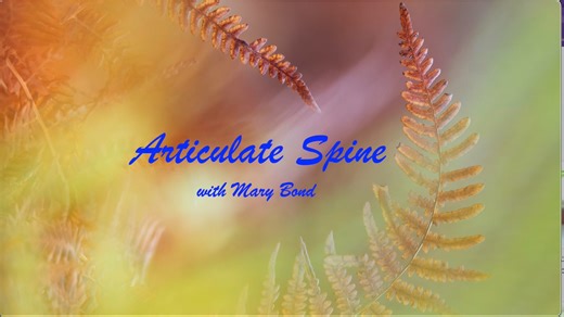 The Articulate Spine