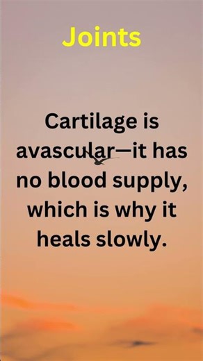 Surprising Medical Facts. Mind-Blowing Health Facts. Know more about your Health.