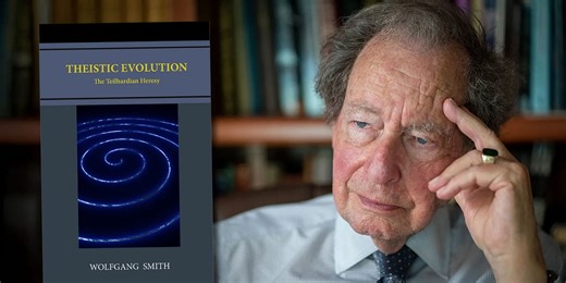 Theistic Evolution Explainer