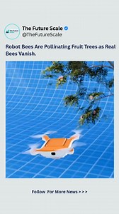 Robot bees are now pollinating fruit trees as real bees disappear. At the same time, survival still depends on understanding nature — not fighting it. A man escapes a charging bull by zig-zagging, exploiting tunnel vision and momentum. Doctors restore sight using a tooth-implanted lens, turning bone into a window of vision. From robotics to biology, the future belongs to those who master nature’s rules. Follow For More News @thefuturescale Hashtags #FutureTech #ScienceMeetsNature #NextGenInnovat