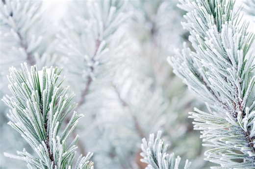 Winter weather advisory expanded as arctic blast approaches central Pa.