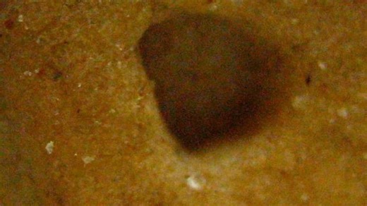 8 Missing Snacks From the '90s That Fans Still Miss Today