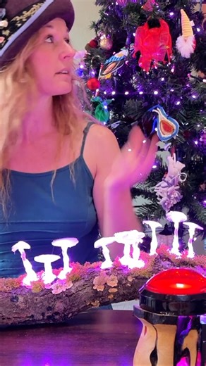 Erin St Blaine on Instagram: "New tutorial is live! I made a Big Red Button that controls all the WLED-enabled lights around my house or environment. This is a great way to make any project interactive -- program the button to do a variety of different things and control all your different electronics projects over WiFi. See the full tutorial at learn.adafruit.com and let me know if you make one! #diy #electronics #button #controller #project #tutorial #lights #wifi #WLED #adafruit @adafruit"