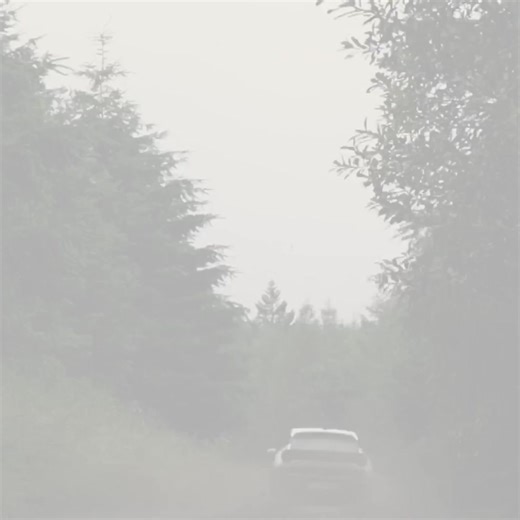 2024: A Year of Unforgettable Moments. This year brought new milestones and countless unforgettable moments, fueling our drive toward an even brighter future. Thank you for being part of our journey! #Lancia #NewLanciaYpsilon #LanciaIsBack | Lancia