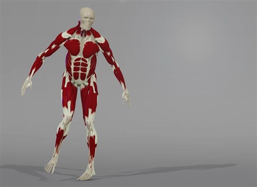 AdonisFX 1.4 ！现已发布并且功能强大！真实地模拟肌肉、面部和皮肤！