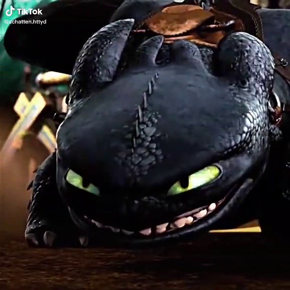 #dragons #toothless #httyd2 #hiccup #edit #httyd