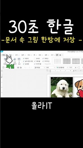 [30-Second HWP] 39. How to Extract Dozens of Photos from a HWP Document in Just 1 Second #shorts