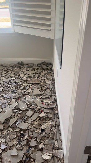 Wanna know how to remove tile from a home? Zamboni, anyone? | Kirkland Construction