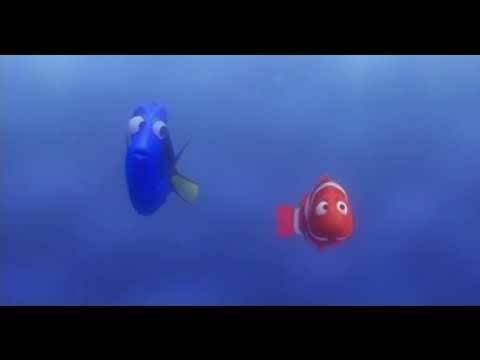 Finding Nemo P Sherman 42 Wallyaby Way Sydney