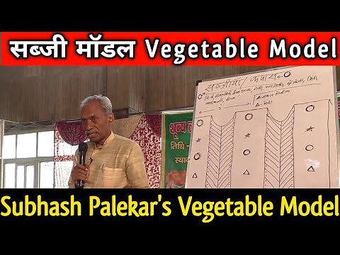 Subhash Palekar's multi-crop vegetable model | मल्टी क्रॉप सब्जी मॉडल