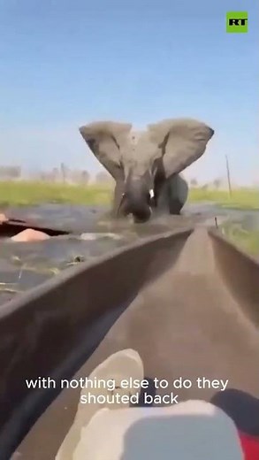 Terrifying Elephant Attack on Boaters 😱🐘 (Caught on Camera)