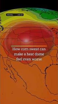 How corn sweat can make a heat dome feel even worse