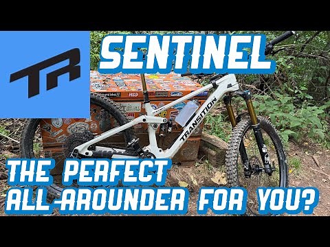 Transition Sentinel Carbon Long Term Review: One of the best all-arounders?