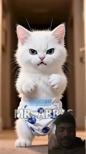 EP 23 #youtubeshorts#youtubeshorts #hulk #wildliferescue #comedyshorts #anaconda #anaconda #comedy