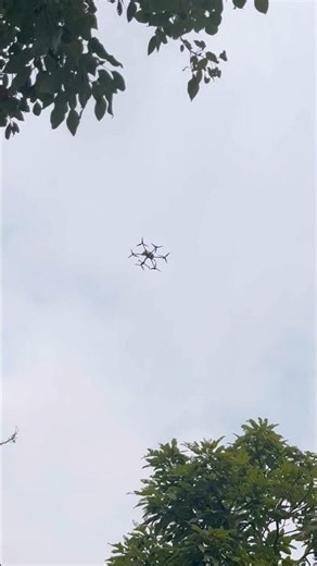 Chinese Takeaway Delivery By Drone