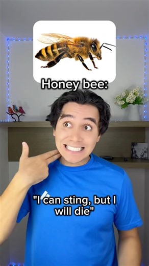 Bumblebee is the kindest of bees😊